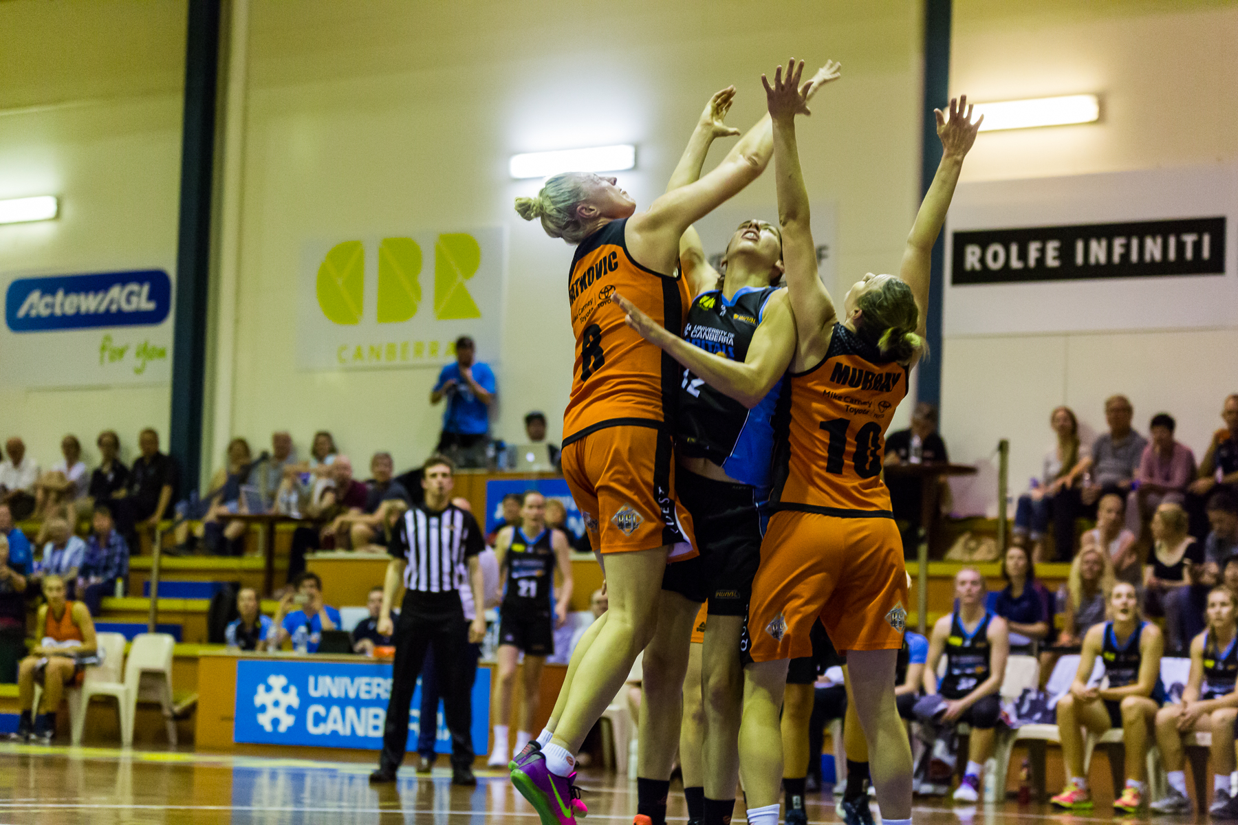 ROUND 19 PREVIEW WNBL